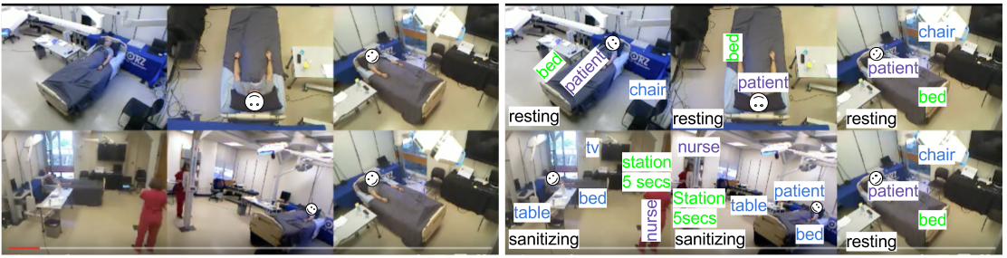 micu_action_detections